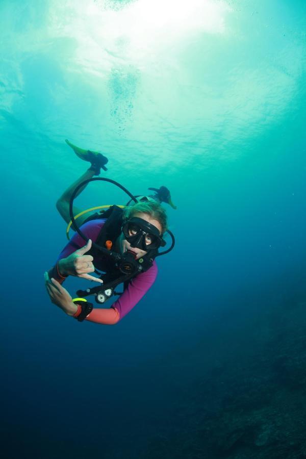 Bongo Bongo Divers Dauin Ngoại thất bức ảnh